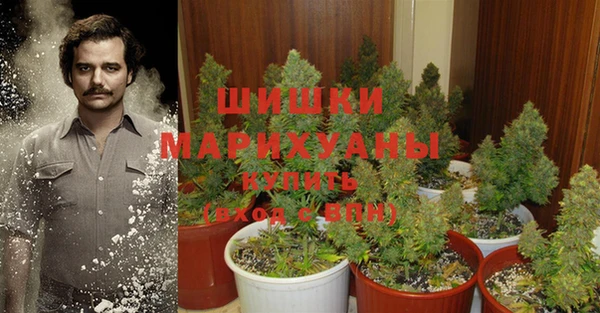 ПСИЛОЦИБИНОВЫЕ ГРИБЫ Гусиноозёрск