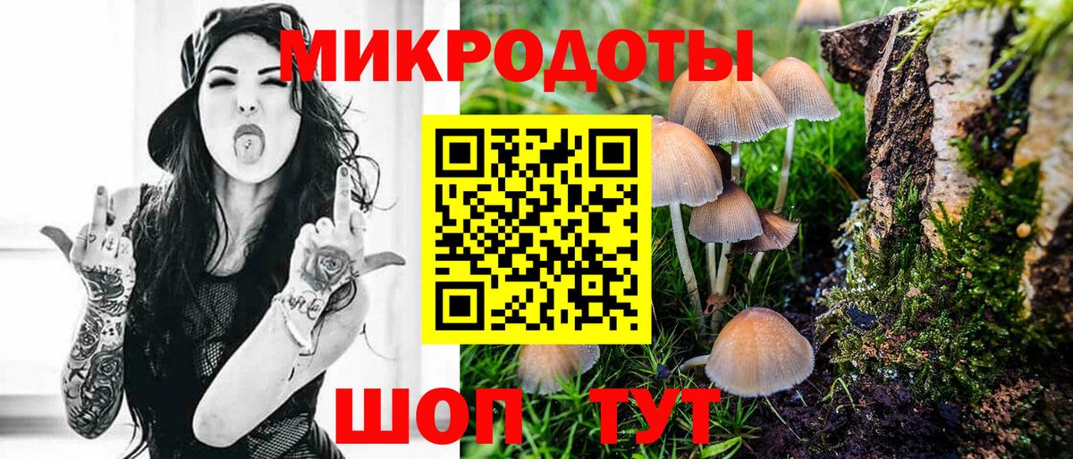 Псилоцибиновые грибы прущие грибы  как найти наркотики  Дятьково  Вход с VPN 